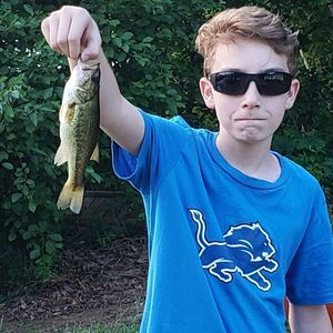 Meet your Posher, Cole